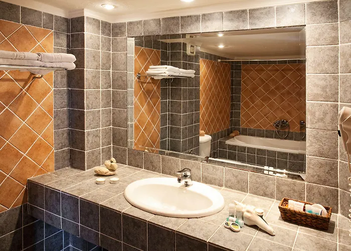 帕拉利欧酒店 3* 波塞蒂