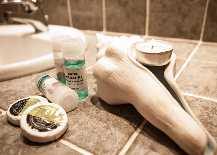 帕拉利欧酒店 公寓式酒店